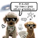 안성BHC | 안성 공도 BHC 배달 후기, 뿌링클 치즈볼 조합 솔직 리뷰