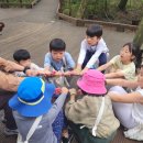서귀포시 어린이 상상의 가을 숲 학교 운영[미래교육신문] 이미지