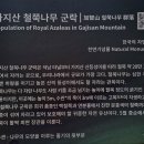 영남알프스 무한태극 역태극 4구간 이미지