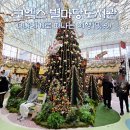 삼성작은도서관 | 서울 삼성역 코엑스 놀거리, 별마당도서관 크리스마스 트리