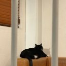 오캄 [건대 디저트 카페] 카페 <b>오캄</b> 방문기