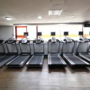 오렌지휘트니스 이미지