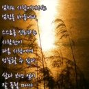 마음이 맑아 지는 글/예쁜 <b>색동</b><b>호박</b>