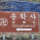 송학사 네이버블로그