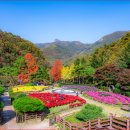 대아수목원&대아호 이미지