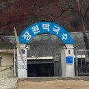 칠순잔치준비/장원막국수/롯데아울렛부여점/국립부여박물관/금동대향로/카페인중독논산연무점/카페인중독