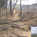 동백LPG충전소 이미지