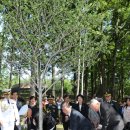 (주)나무대통령 이미지