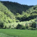 청송목장 이미지