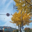 [전남 화순 1박2일] 포테이블 오마카세/카페아더맨/무등산 양떼목장/양참사댁 별식소반(다과체험)/남산...