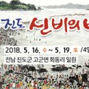 제40회 진도 신비의 바닷길 축제 이미지