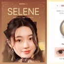 NC백화점~분수대오거리 이미지