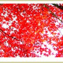 가재골산장 이미지