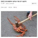 (펌,스압)도란 방송 말말말.txt 이미지