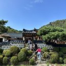 초리골 제빵소 | 파주 한옥카페 베이커리카페 초리골제빵소 내돈내산 솔직후기