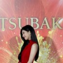 수지 - 보성군 | 수지