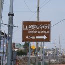 손양원순교기념관 Daum카페