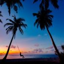 아름다움 이미지