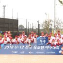 2018년 U-12 전국 유소년 야구대회 우승 이미지