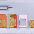 심텔 Daum카페