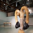 플랫폼 B동 이미지