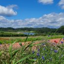 법성가든 함안감자탕 이미지