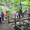 해인사 소리길 이미지