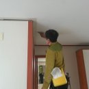 새천년종합장식 이미지