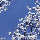 일어(초급) 이미지