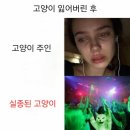 오케이점핑점핑하이 | 요 최근 일기같은 근황 'ㅇ'~ (스압주의)(눈물주의)(귀여움有)