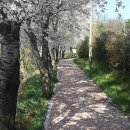 옥천1리 이미지