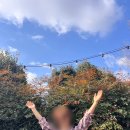 일로스탠다드 이미지