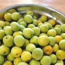 서기농장 이미지