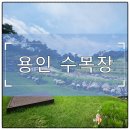 중부인력 앞 | 용인 수목장 가격부터 위치까지 현장 방문 후 알게 된 것들