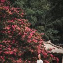 산성길 | 7월이면 붉게 물드는 산사 배롱나무와 산성길을 함께 걷는 무료 명소