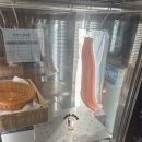 파도 | 인하대역 분위기 좋은 이자카야 숙성회 안주 맛집 심야식당 파도 방문 후기