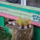 솔밭예술마을 이미지