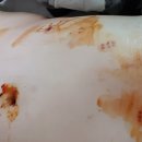 임대웅한의원 이미지