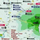 자작나무숲 주차장 이미지