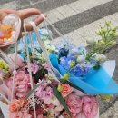 더그린;사계절의꽃