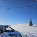 부흥카부분정비 | 북해도 겨울 여행, 삿포로 렌트카 직접 운전해본 솔직 후기