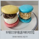 마카롱카페꼬끄시니 | 깐깐제과 마카롱꼬끄 뚱카롱 납품 카페디저트 맛집 후기