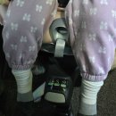 T.L.T작은도서관 | 신생아 카시트 흔들림·목 꺾임 걱정 줄이는 싸이벡스 제로나 T 선택 기준