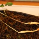 만덕자연 이미지