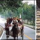 여주-0117 이미지