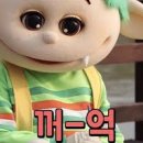 캡틴 카라반 글램핑 이미지