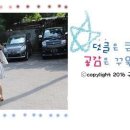 상남견 이미지