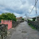 표선리-24 이미지