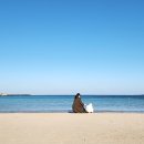 성산포항여객터미널 이미지