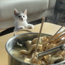 생선가게 이미지